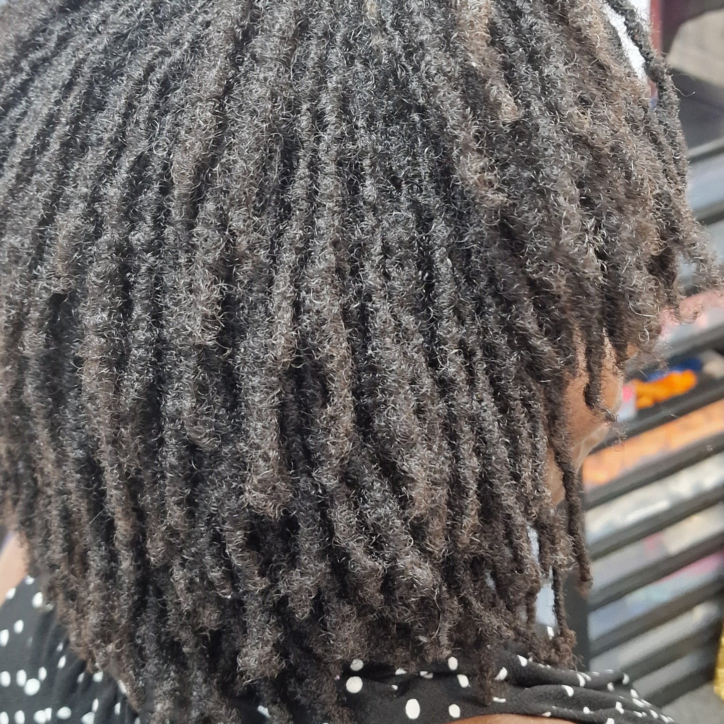 Medium Locs Retie/Retwist