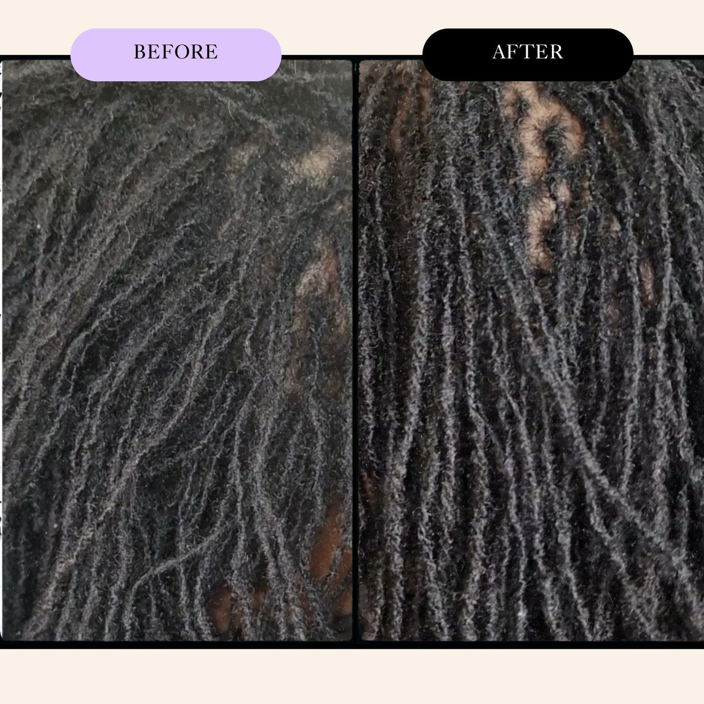 Locs n Curls Nourishing Oil
